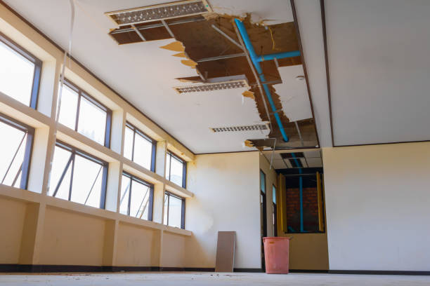 Best Residential water damage restoration  in Lake Lotawana, MO