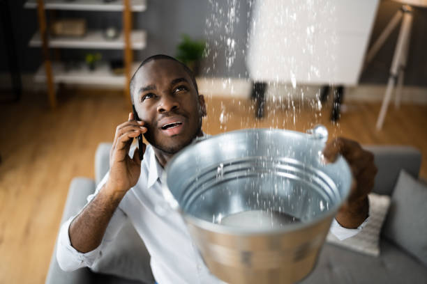 Best Water damage restoration near me  in Lake Lotawana, MO