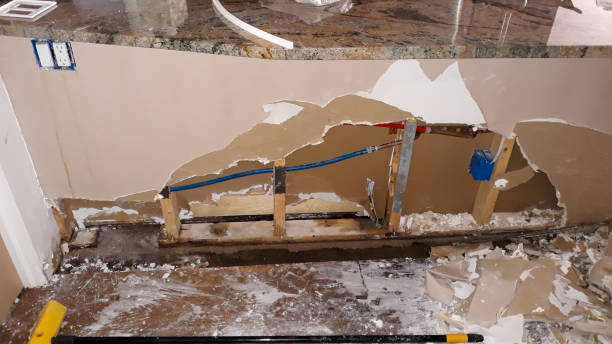 Best Flood damage cleanup  in Lake Lotawana, MO