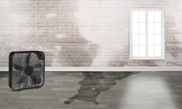 Best Emergency water damage restoration  in Lake Lotawana, MO