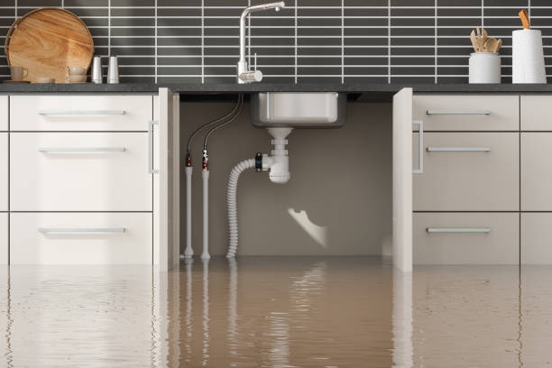 Best Local water damage restoration  in Lake Lotawana, MO