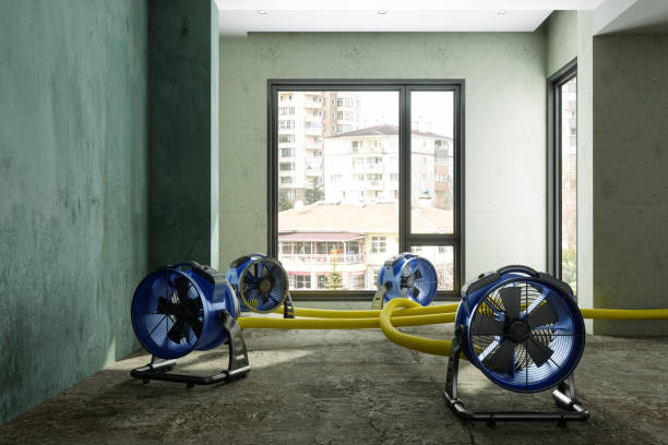 Best Commercial water damage restoration  in Lake Lotawana, MO